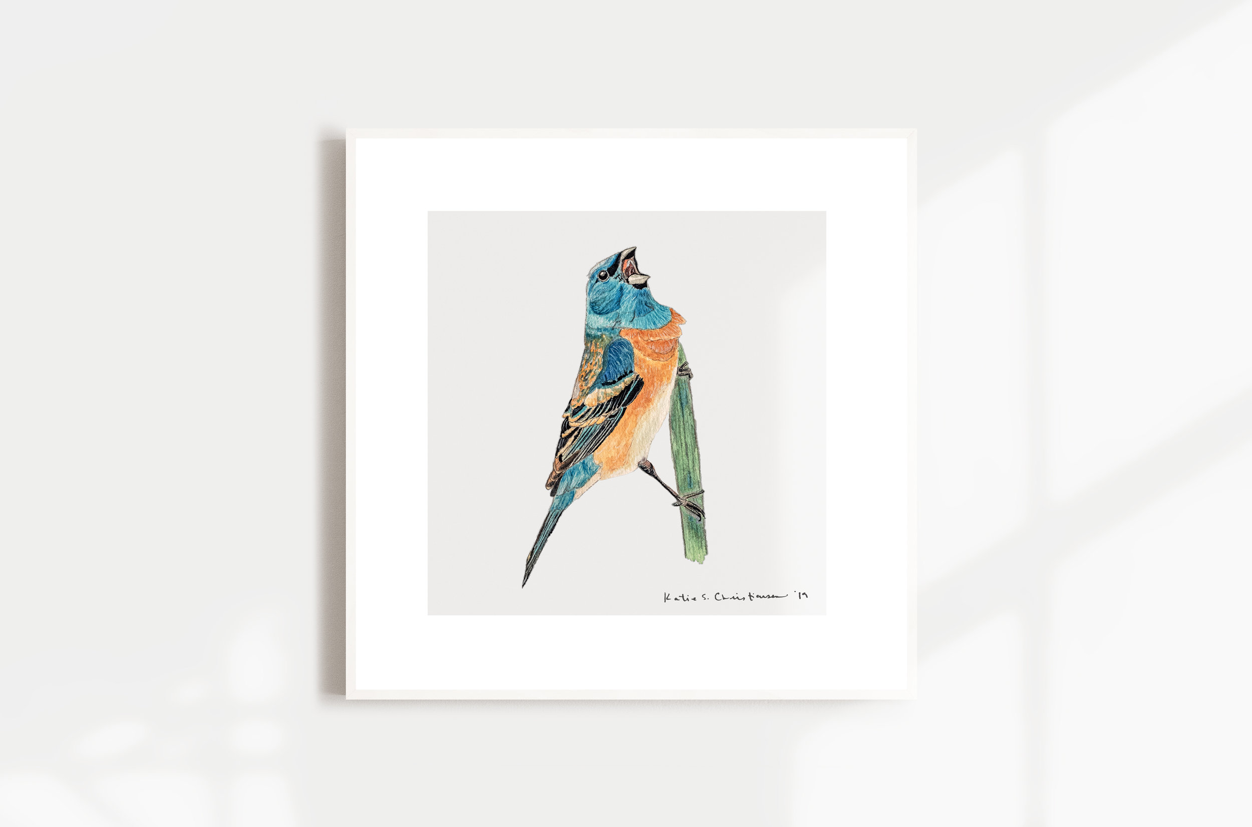 工芸品 milktea birds  Bunting Lazuli Bunting Original Watercolor — COYOTE ART & ECOLOGY